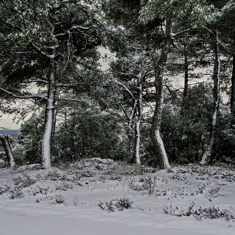 Κακοκαιρία «Ελπίς»: Στους -17,1 έπεσε ο υδράργυρος στον Νέο Καύκασο