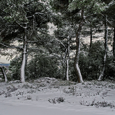 Κακοκαιρία «Ελπίς» 