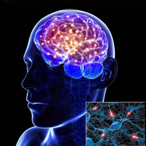 Ελλάδα: Διαστάσεις επιδημίας θα λάβει η αύξηση των νευροεκφυλιστικών παθήσεων 