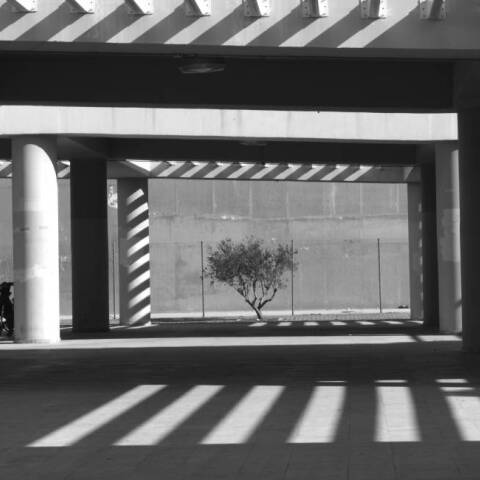 Φωτογραφία στο εξώφυλλο της συλλογής «Ποιήματα» του Ηλία Ευθυμιόπουλου (εκδ. ATHENS VOICE BOOKS)