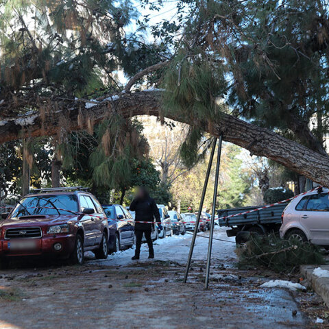 Πεσμένο δέντρο από την κακοκαιρία «Ελπίδα» στη Νέα Σμύρνη