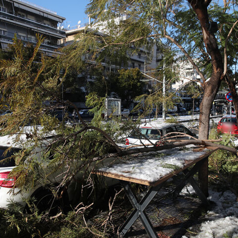 Κακοκαιρία «Ελπίδα»: Ζημιές σε αυτοκίνητα από πτώσεις δέντρων