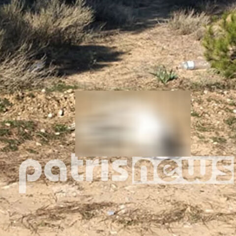 Νεκρό αδέσποτο στο Βαρθολομιό