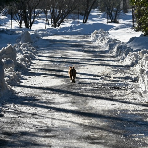 Έρχεται η νέα κακοκαιρία: Αυστηρή προειδοποίηση Πέτσα σε Δήμους και Περιφέρειες
