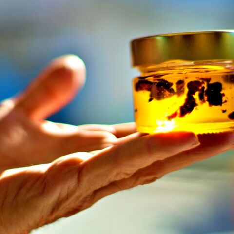 «Μέλι της Αρκούδας»: βιολογικό μέλι από τα βουνά της Δράμας