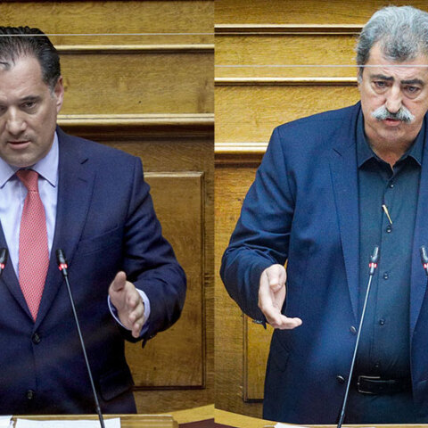 Άδωνις Γεωργιάδης, Παύλος Πολάκης 