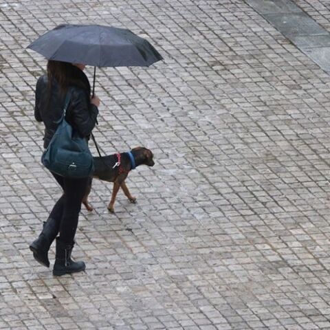 Καιρός: Έρχεται νέο κύμα κακοκαιρίας - Βροχές και καταιγίδες αύριο