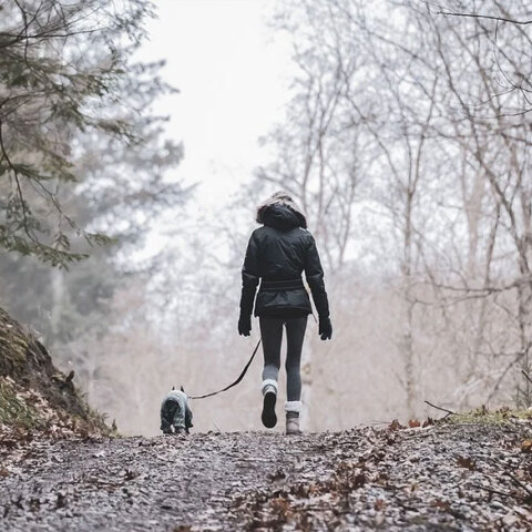 Βόλτα με τον σκύλο στο δάσος