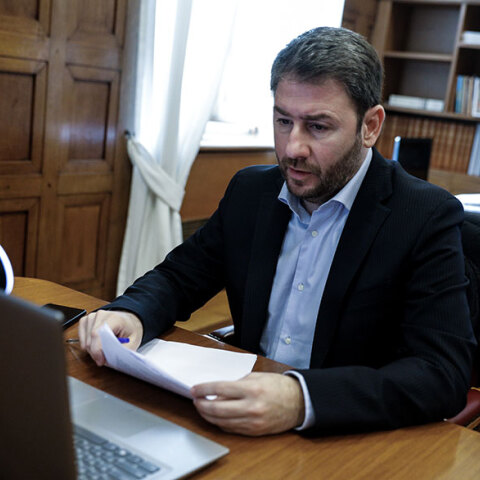 Νίκος Ανδρουλάκης, πρόεδρος ΚΙΝΑΛ