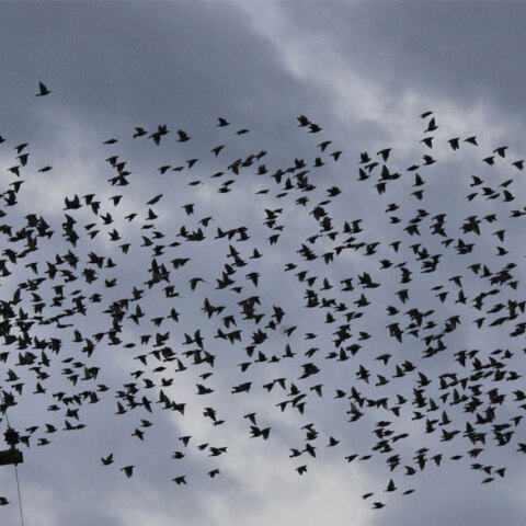 Με νεφώσεις ο καιρός σήμερα Κυριακή (06.02), σύμφωνα με την πρόγνωση ΕΜΥ