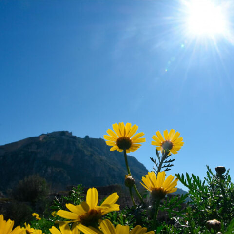 Ηλιοφάνεια με τη θερμοκρασία σε άνοδο σήμερα Παρασκευή (11.02)
