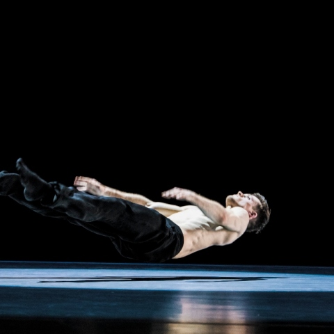 Nederlands Dans Theater, "Toss of a dice"