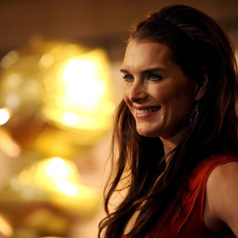 USA BROOKE SHEILDS POSTPARTUM	