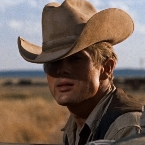 "Ο γίγας" του Τζορτζ Στίβενς