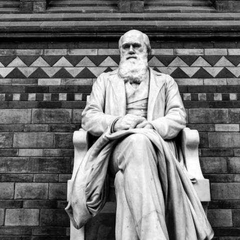 Κάρολος Δαρβίνος