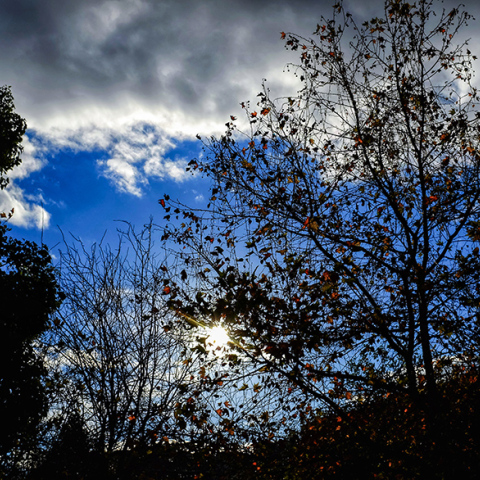 Η πρόγνωση του καιρού για σήμερα Τρίτη (15/02)
