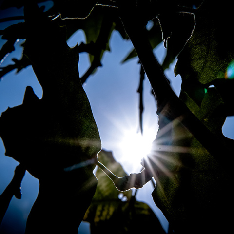 Η πρόγνωση του καιρού για σήμερα Παρασκευή (18/02)
