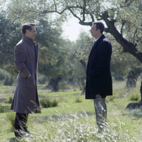 Άγριες Μέλισσες