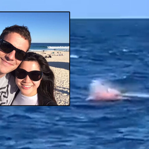 Επίθεση καρχαρία στην Αυστραλία στοίχισε τη ζωή στον Σάιμον Νέλιστ (ένθετη)