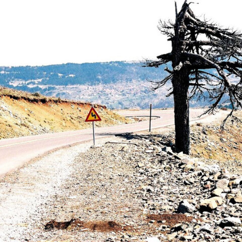 Φωτογραφία στο εξώφυλλο της συλλογής «Ποιήματα» του Ηλία Ευθυμιόπουλου (εκδ. ATHENS VOICE BOOKS)