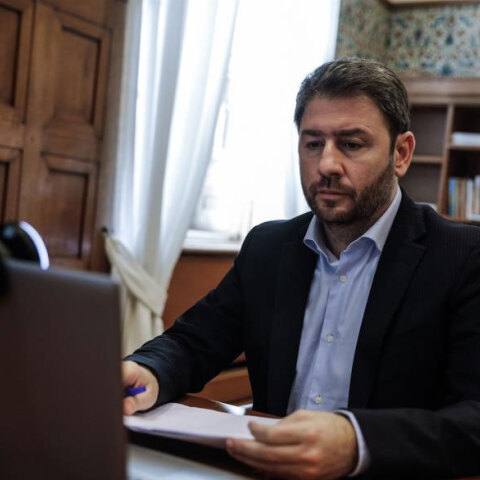 Νίκος Ανδρουλάκης, πρόεδρος ΚΙΝΑΛ