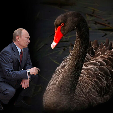 Βλαντίμιρ Πούτιν και Μαύρος Κύκνος
