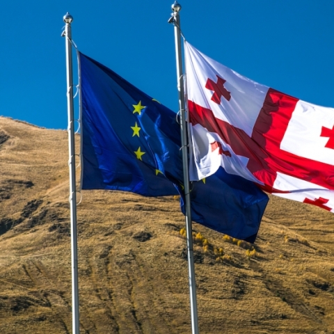 Η Γεωργία θα καταθέσει επίσημο αίτημα ένταξης στην Ε.Ε.