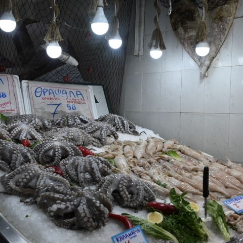 Καθαρά Δευτέρα: Χταπόδια και καλαμάρια εκτίθενται σε ιχθυοπωλείο
