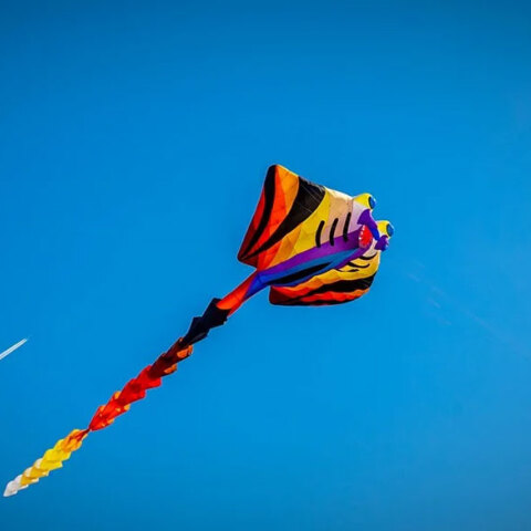 Χαρταετός την Καθαρά Δευτέρα