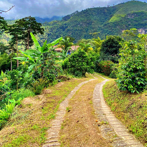 Zapatoca - San Vicente