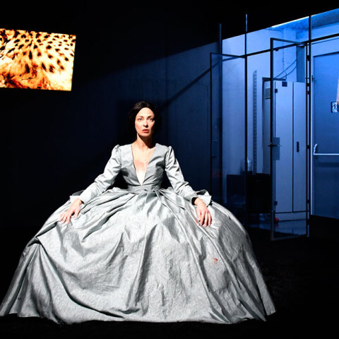 «Amalia melancholia - Η βασίλισσα των φοινίκων» στο Δημοτικό Θέατρο Πειραιά