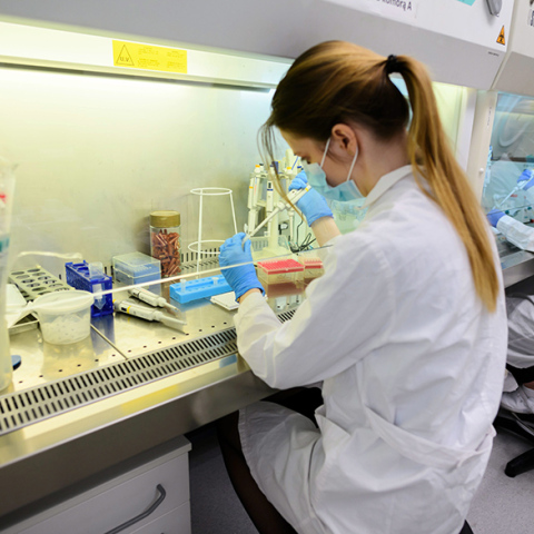 Νέα μελέτη: Ακόμη και η ήπια Covid-19 μπορεί να προκαλέσει ατροφία του εγκέφαλο