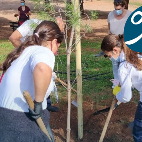 90 χρόνια Σώμα Ελληνικού Οδηγισμού