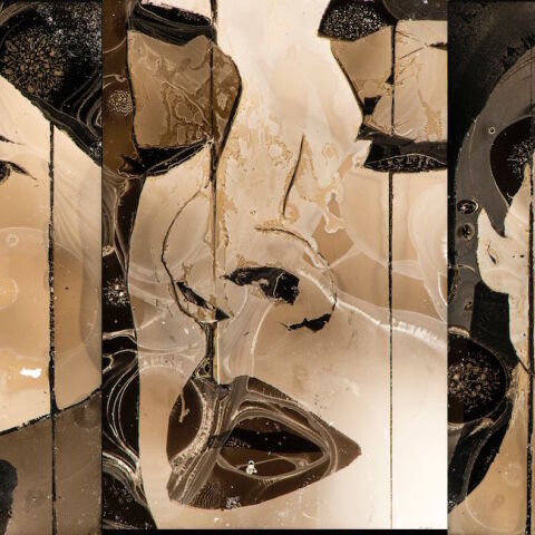 Ερωτικά πρόσωπα του Νίκου Ζήβα