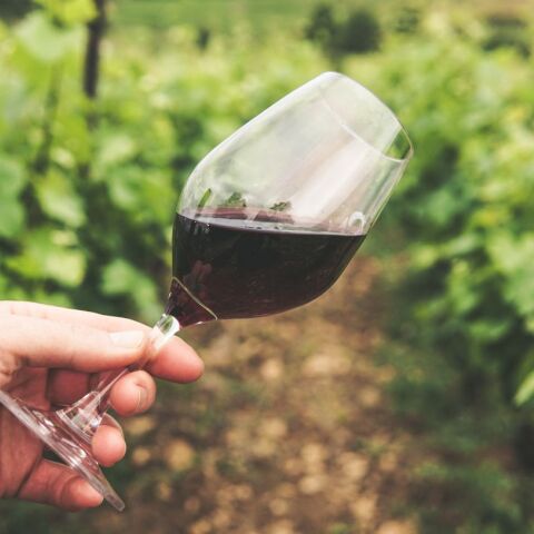 ΒΑΚΧΕΣ: μια έκθεση για όσους αγαπούν το κρασί και την τέχνη