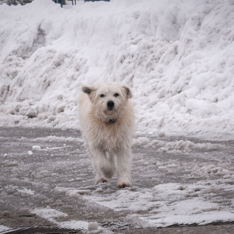 Χιόνια στην Αθήνα φέρνει η κακοκαιρία «Φίλιππος»