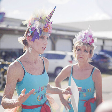 Τα κορίτσια του ημερολογίου - Calendar Girls
