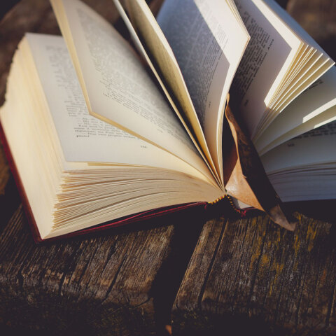 Ανοχιτό βιβλίο