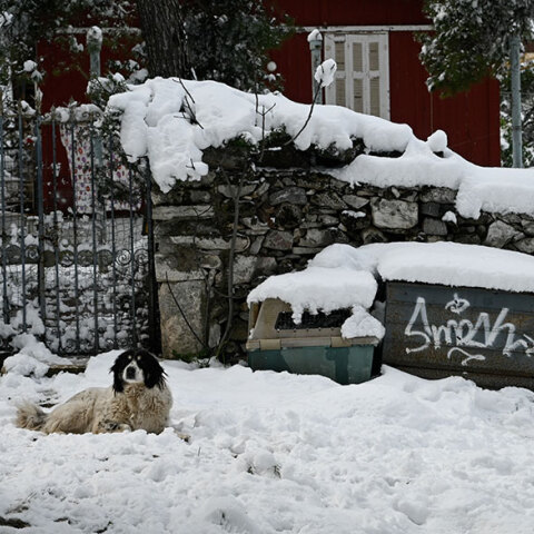 Χιόνια στην Αττική φέρνει η κακοκαιρία «Φίλιππος»