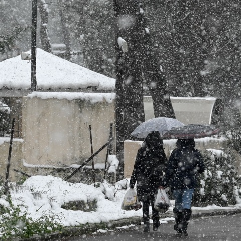 ΚΑΚΟΚΑΙΡΙΑ "ΦΙΛΙΠΠΟΣ" ΧΙΟΝΟΠΤΩΣΗ ΣΤΟ ΔΙΟΝΥΣΟ (ΜΙΧΑΛΗΣ ΚΑΡΑΓΙΑΝΝΗΣ/EUROKINISSI)