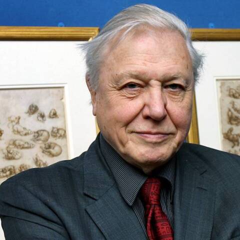 Ντέιβιντ Ατένμπορο