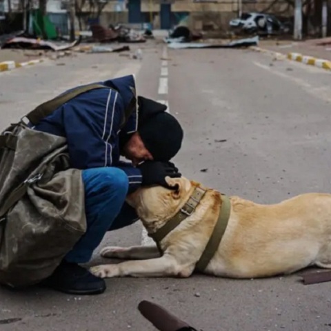 Άνδρας προσπαθεί να βοηθήσει τον παραλυμένο από τον τρόμο σκύλο του