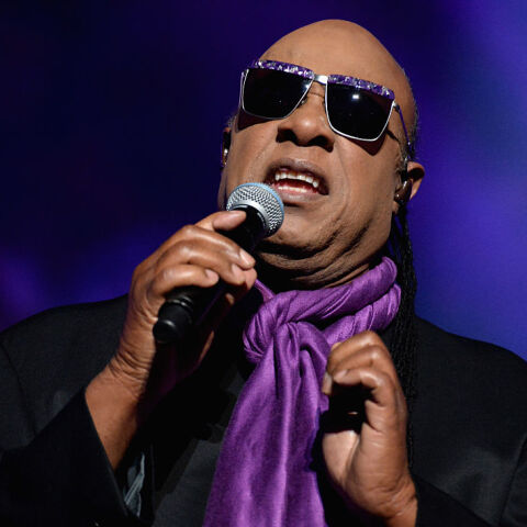Ο Stevie Wonder
