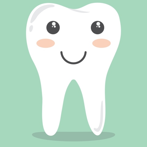 Εικονογράφηση δοντιού που χαμογελάει