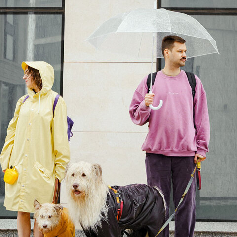 Ένας άντρας και μια γυναίκα με τα σκυλιά τους στη βροχή
