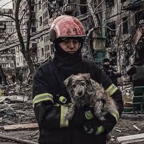 Διασώστης απομακρύνει σκύλο από βομβαρδισμένο κτίριο στην Ουκρανία