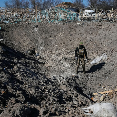 Πόλεμος στην Ουκρανία