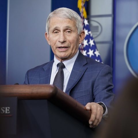 ap_anthoni_fauci-768x480.jpg