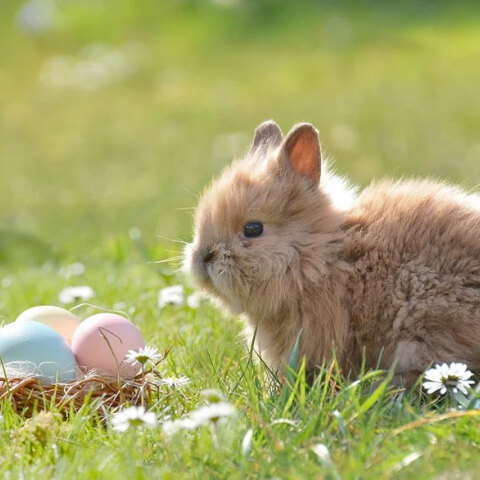 Το Πάσχα 2022 πέφτει φέτος στις 24 Απριλίου
