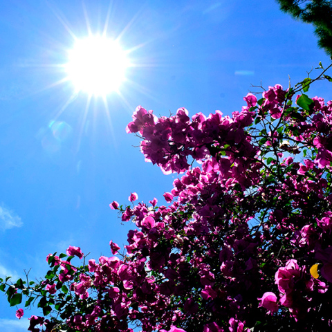 Καλός ο καιρός αύριο Πέμπτη (24/03)